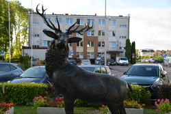 Pomnik Jelenia