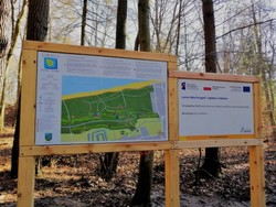Leśna Pętla Przygód i Tajemnic w Mielnie
