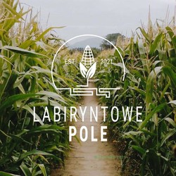 Labiryntowe Pole