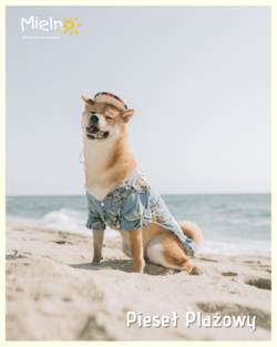 Z psiakiem na plażę