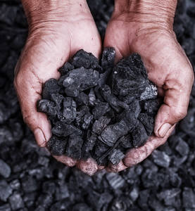 Wstępna deklaracja zakupu węgla